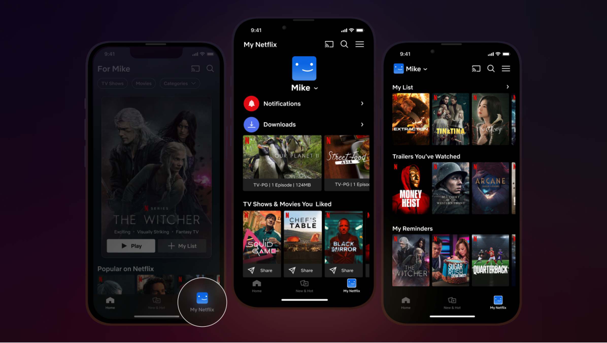 Netflix mobile UI screenshot used as an image input example